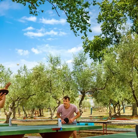 Üdülőpark Maravea Holiday Homes Mareda