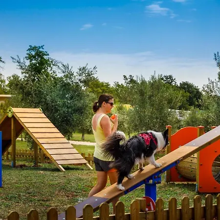 Holiday park Maravea Holiday Homes